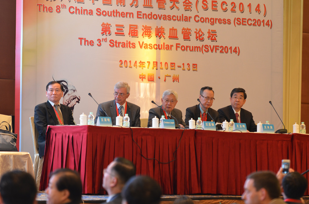 The third South China vascular Congress