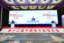 第十三届中国南方血管大会（SEC2019）